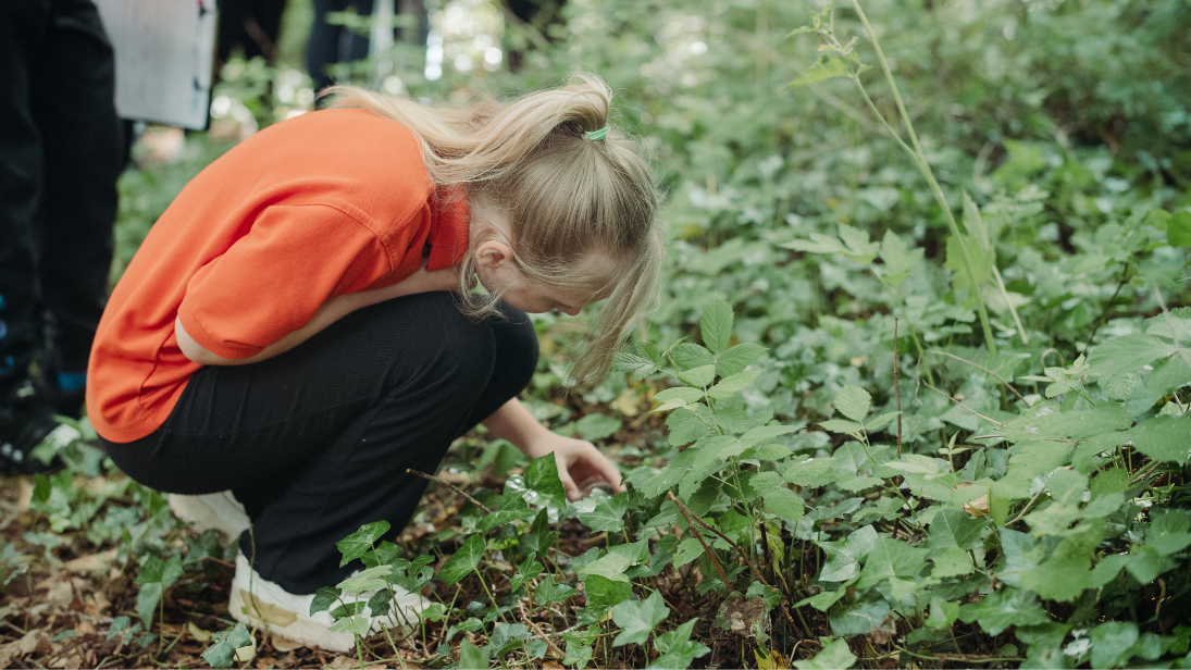 a young girl looking for bugs 