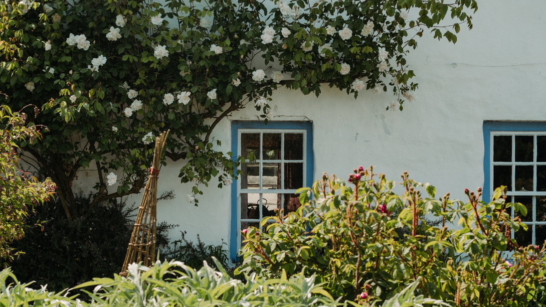 Summer at the Ulster Folk Museum 