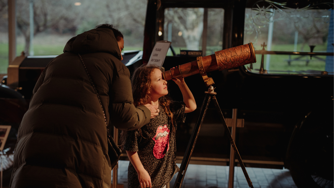 Explore the world of birds, insects, and wildflowers at the Ulster Transport Museum.