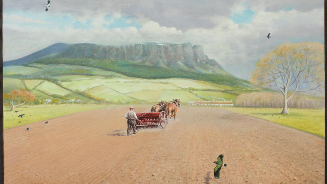 BELUM.N1 Sowing Oats. Co. Londonderry © Michael Benington
