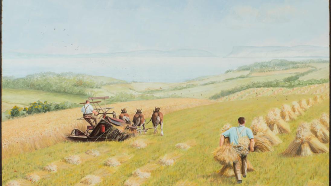 BELUM.N2 Harvesting Oats. Co. Antrim © Michael Benington