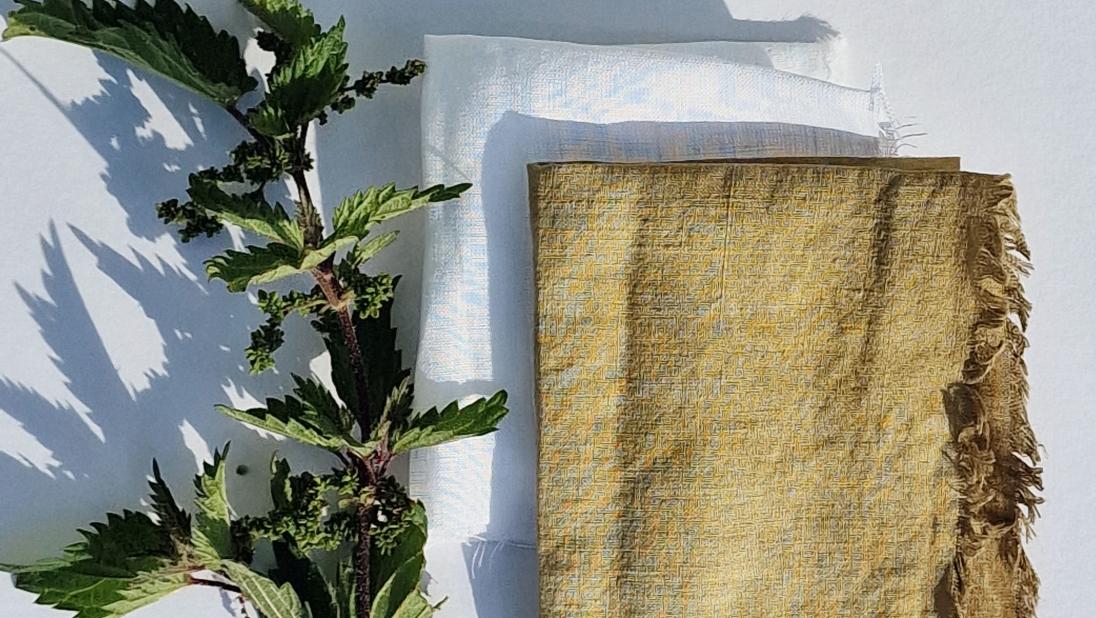 Linen fabric before and after it has been dyed by August nettles