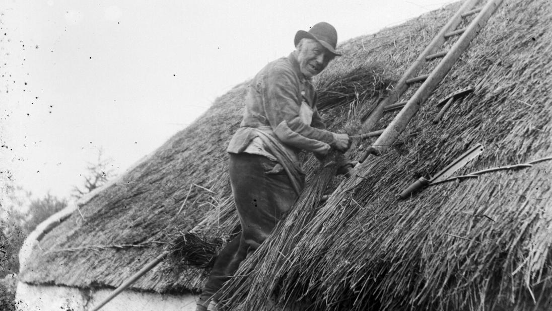 A man on a ladder turns towards the camera. He is thatching the roof of a cottage.