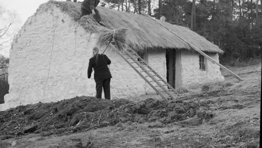 Three man stand around a cottage getting thatched. Two men are on the roof, with the third standing below them passing up straw.