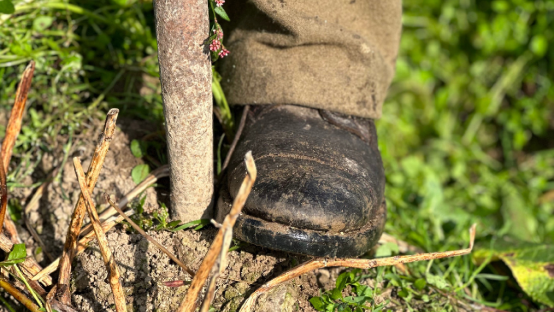Mans boot on the fork digging into the ground