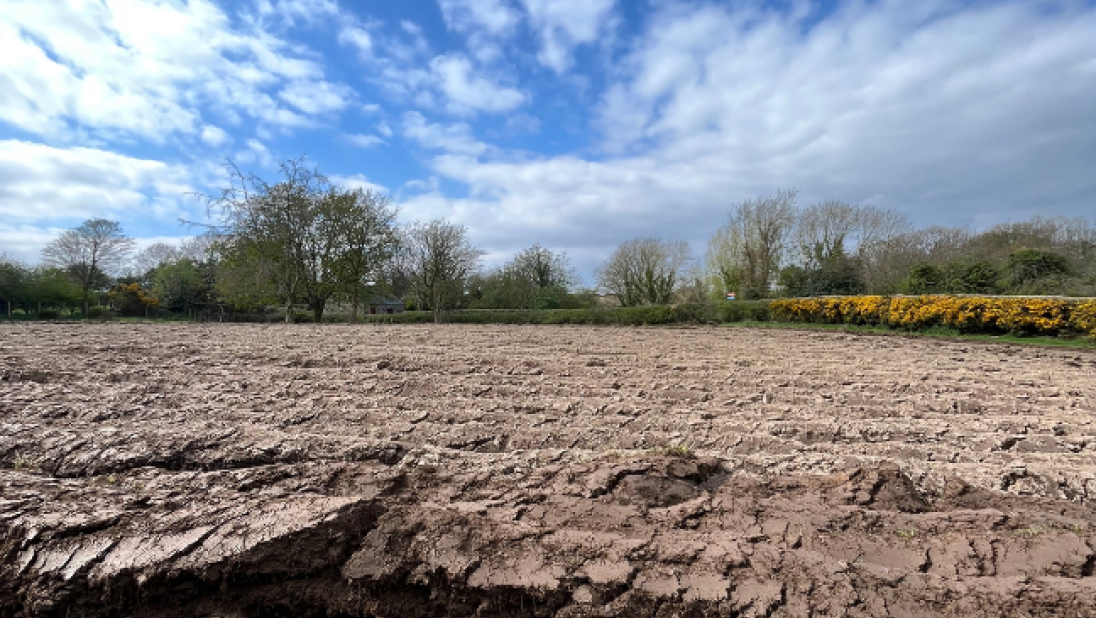 Ploughed field