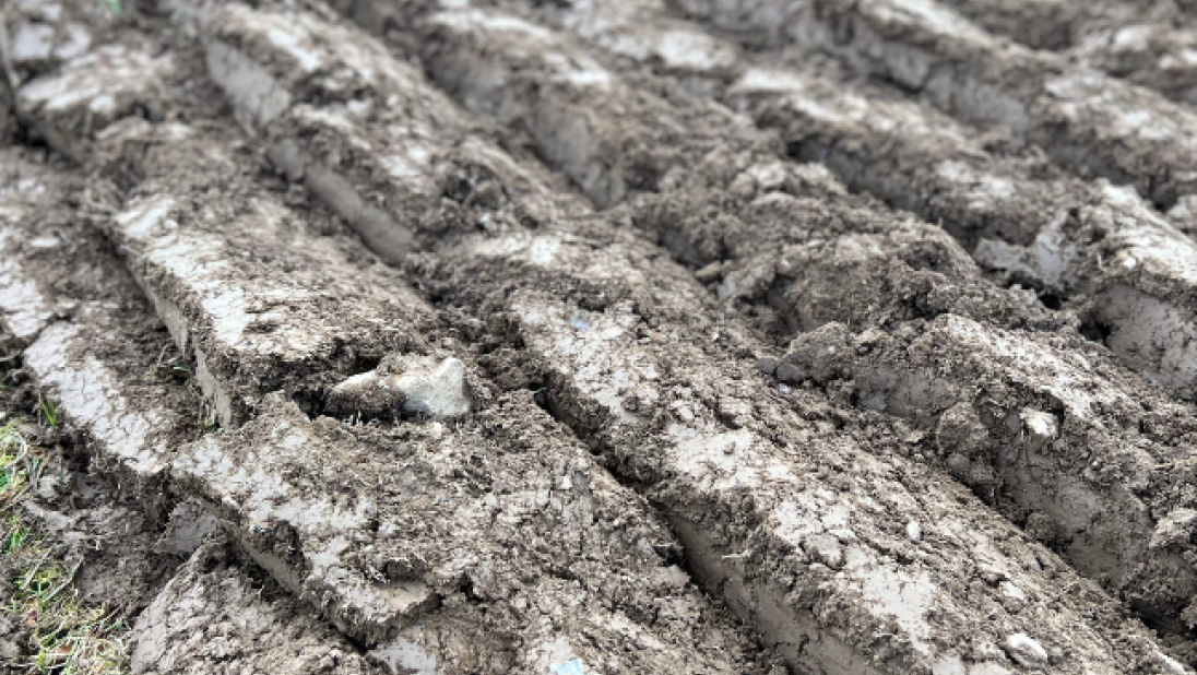 Ploughed field