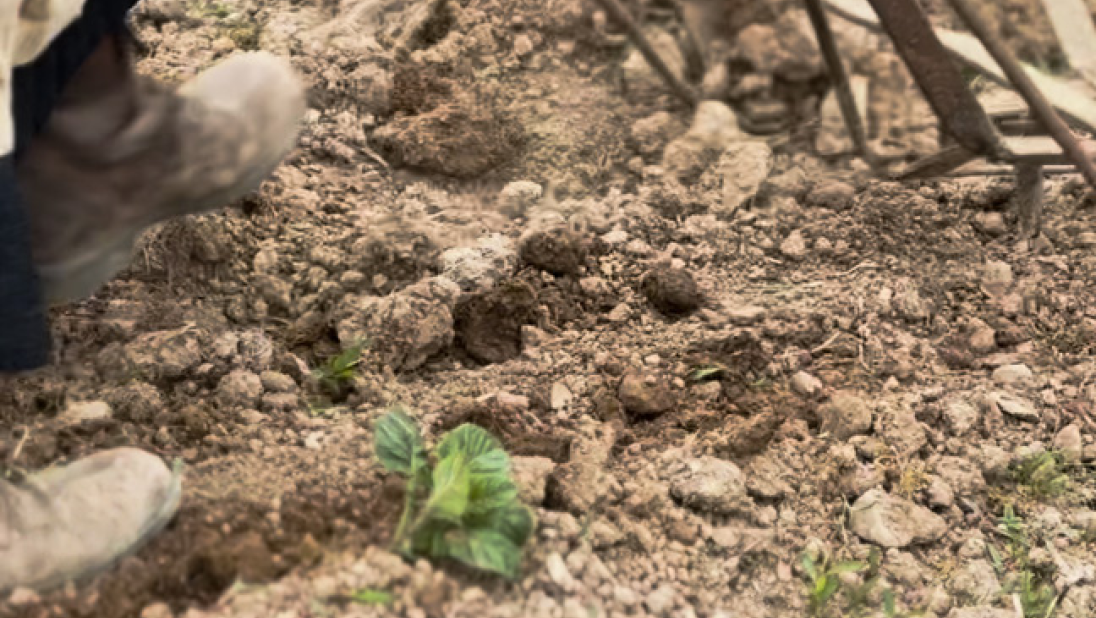 A close up of churned up soil with a woman's foot in the photo.