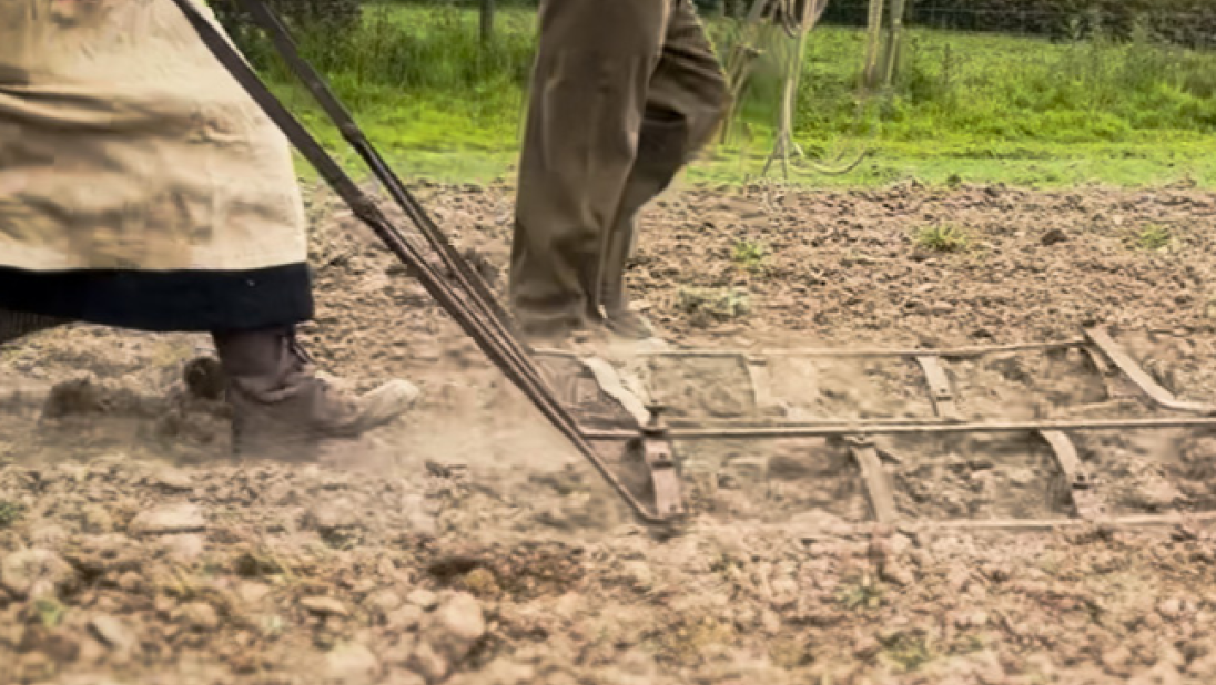 Two people walk to the right of the frame, churning soil.