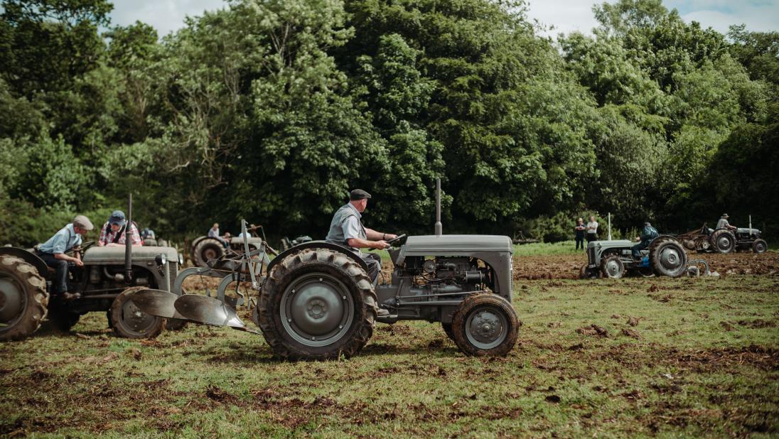 Ferguson Tractor Day 