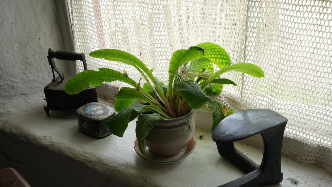 Mellon Interior