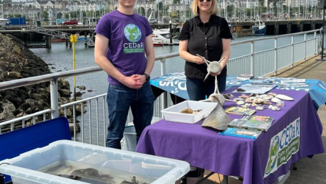 CEDaR team at Sea Bangor Festival June 2024