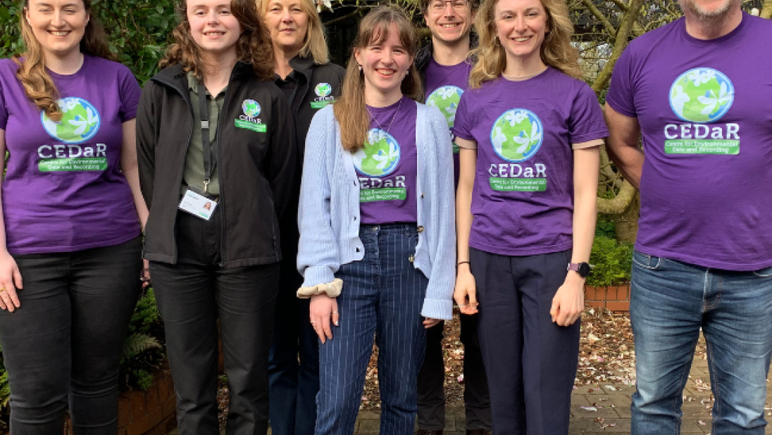 CEDaR Team