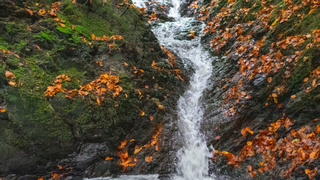 Waterfall in woodland, autumn leaves surrounding the water