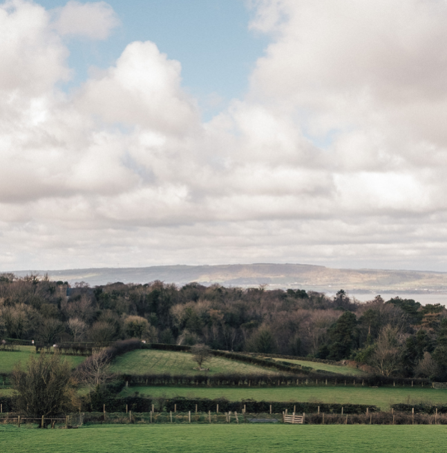 Landscape image of fields, trees, clouds and Belfast Lough in the distance