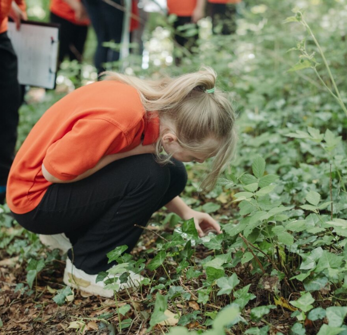 A girl looking for bugs in the leaves
