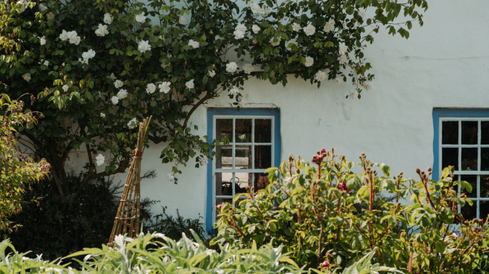 Summer at the Ulster Folk Museum