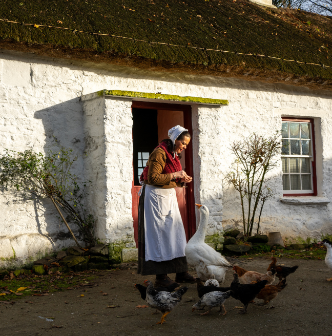 A woman stands outside a cottage dressed in traditional 19th century clothing. She is feeding geese and ducks.