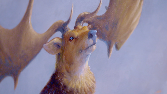 Giant deer from Wild Ireland