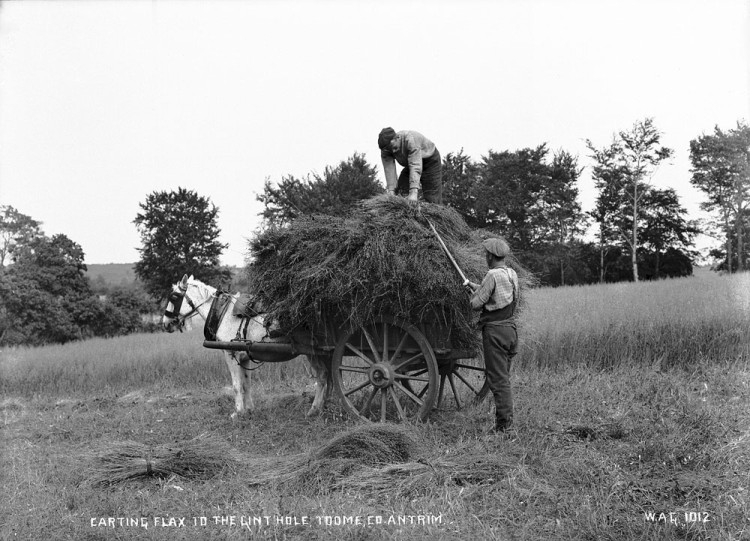 Carting flax, Toome