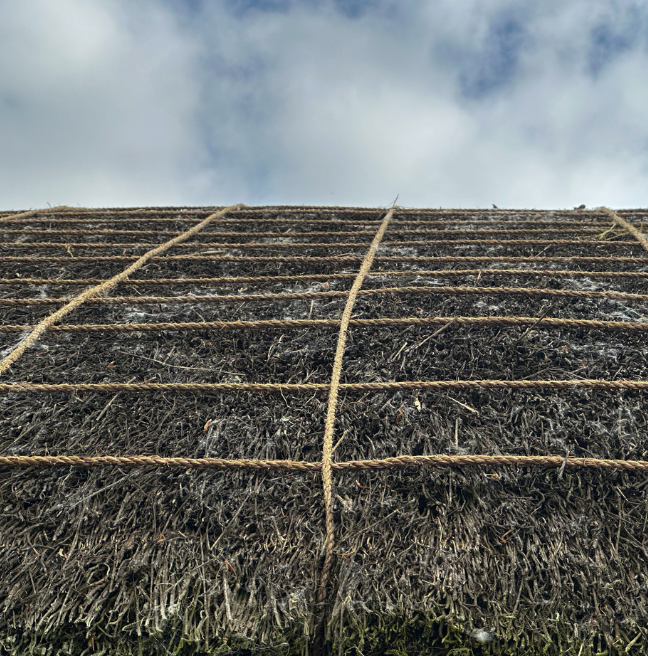 The roof of a building showing ropes holding down thatch. The ropes lie both horizonally and vertically.