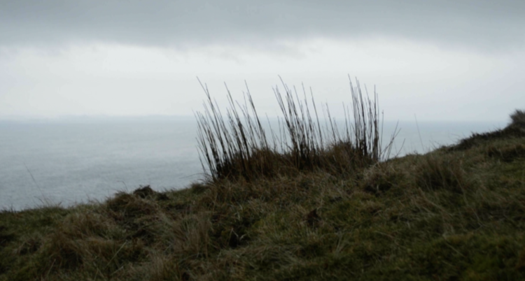 Grey skys, grass