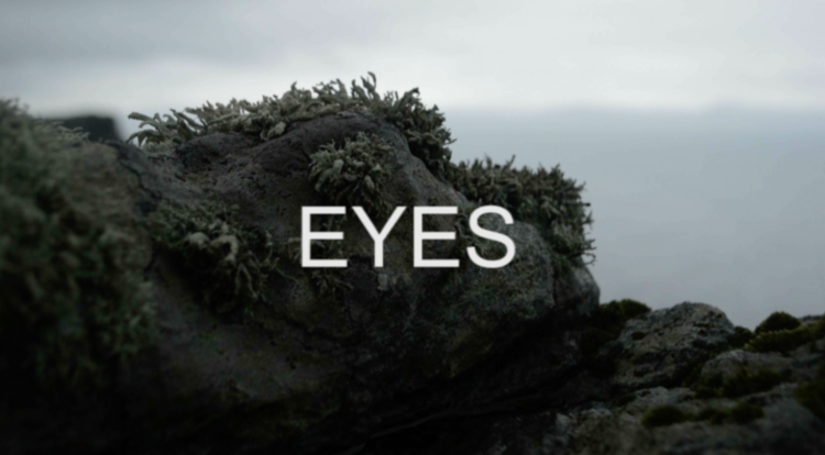 Close up of rocks, EYES text overlay
