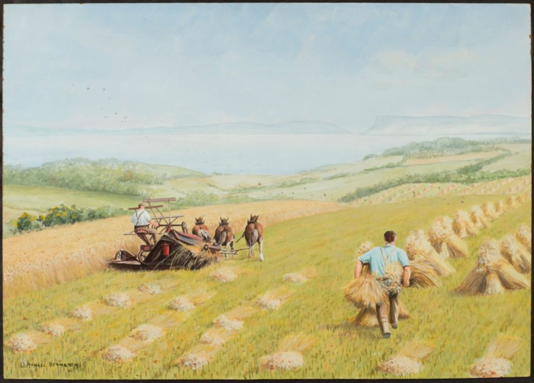 BELUM.N2 Harvesting Oats. Co. Antrim © Michael Benington