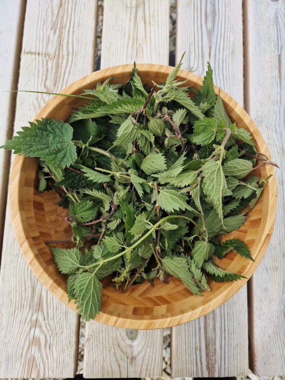 Nettles in a wooden bowl