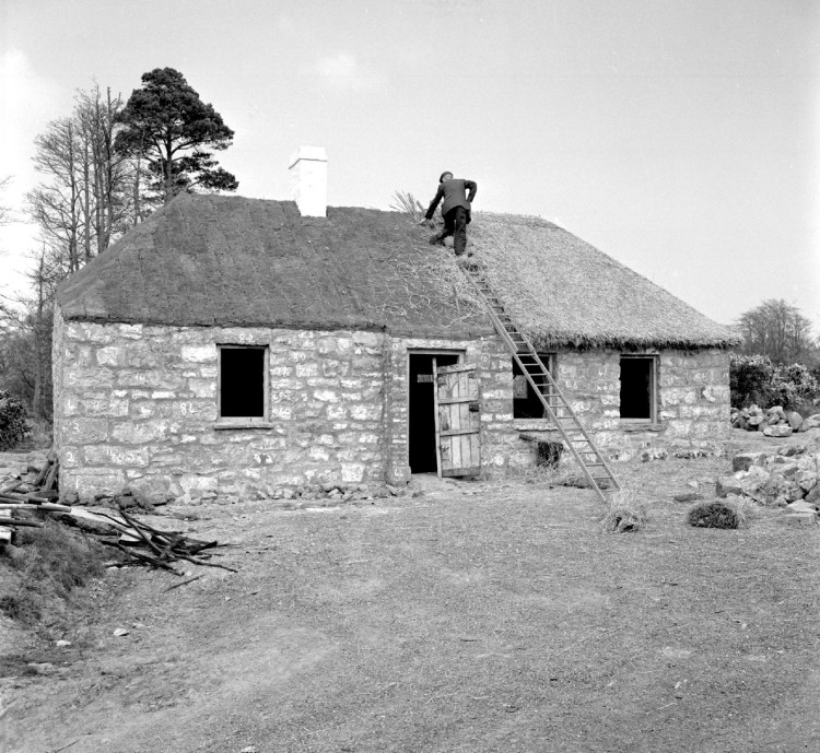 A wide view of a cottage. On the roof is a man, thatching.