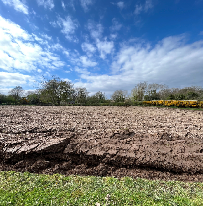 Ploughed field