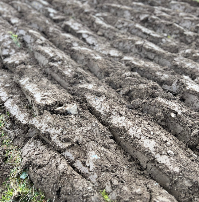 Ploughed field