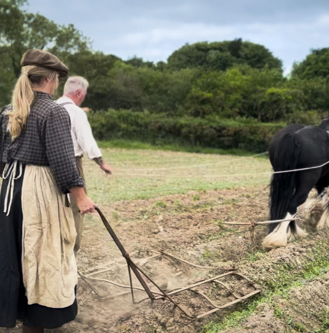 A man and a woman walk behind a horse in a field.