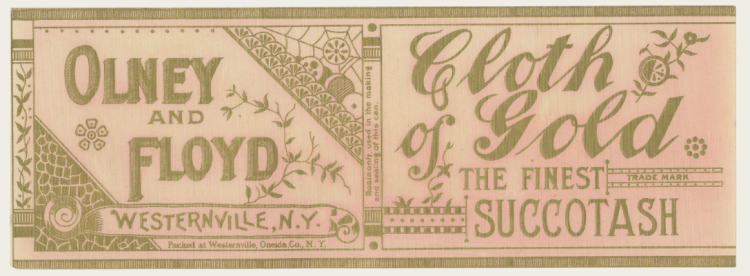 Can label of succotash, gold writing