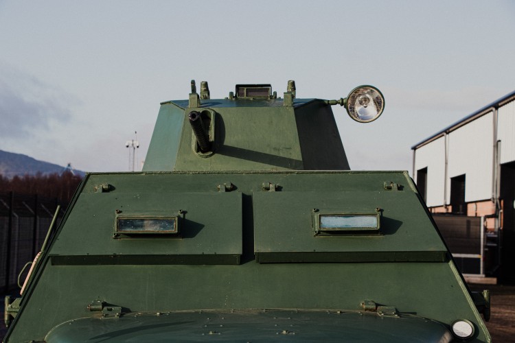 Shorland gun