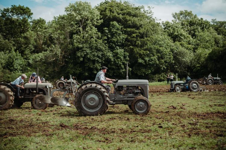 Ferguson Tractor Day 