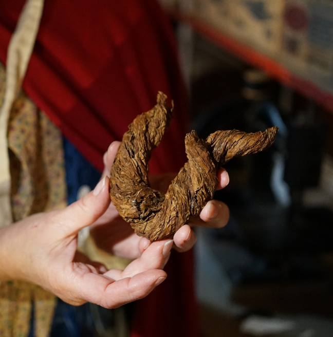 A woman holds a dried tobacco 'pigtail'.