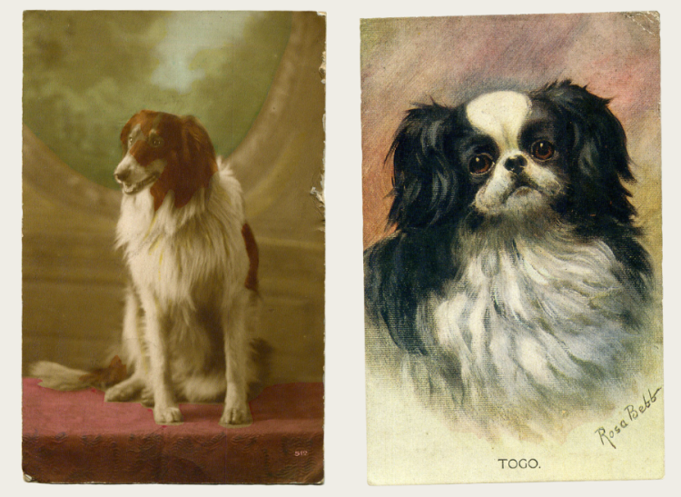 Two postcards of dogs.