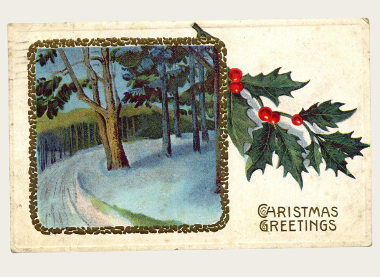A Christmas postcard of a snowy forest lane.