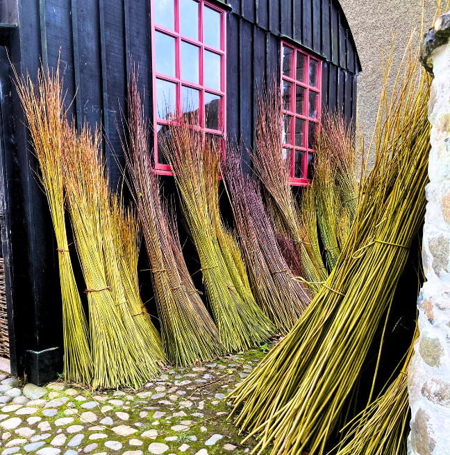 Willow outside Bob's workshop