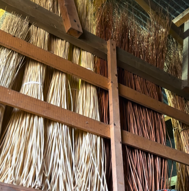 Willow dries out in the rafters