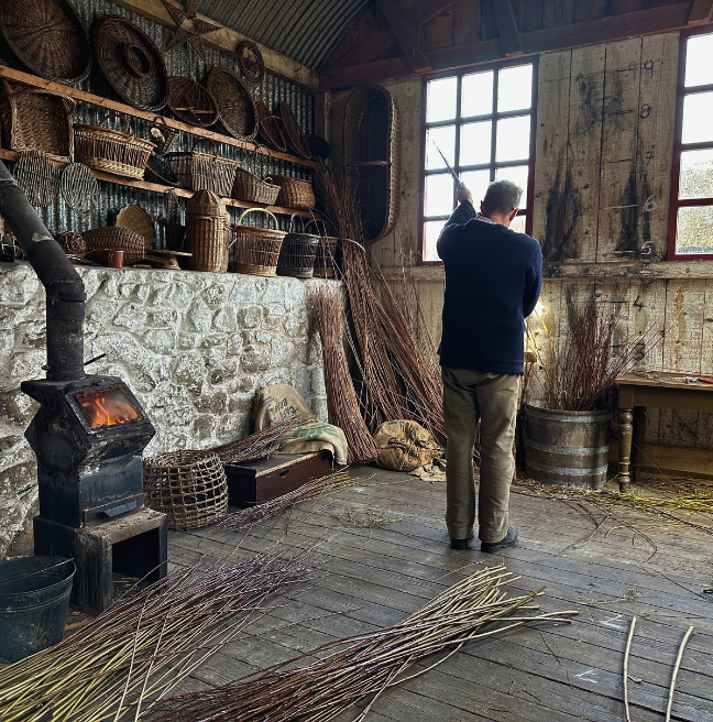 Bob sorts the willow