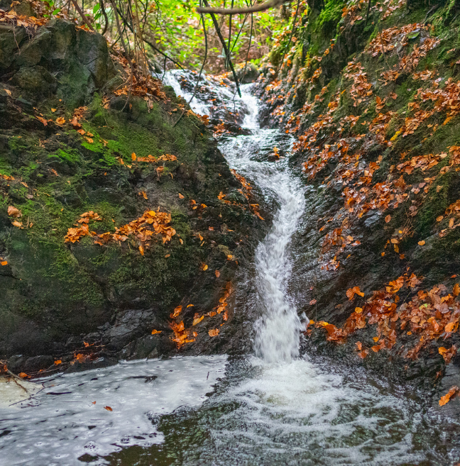 Waterfall in woodland, autumn leaves surrounding the water