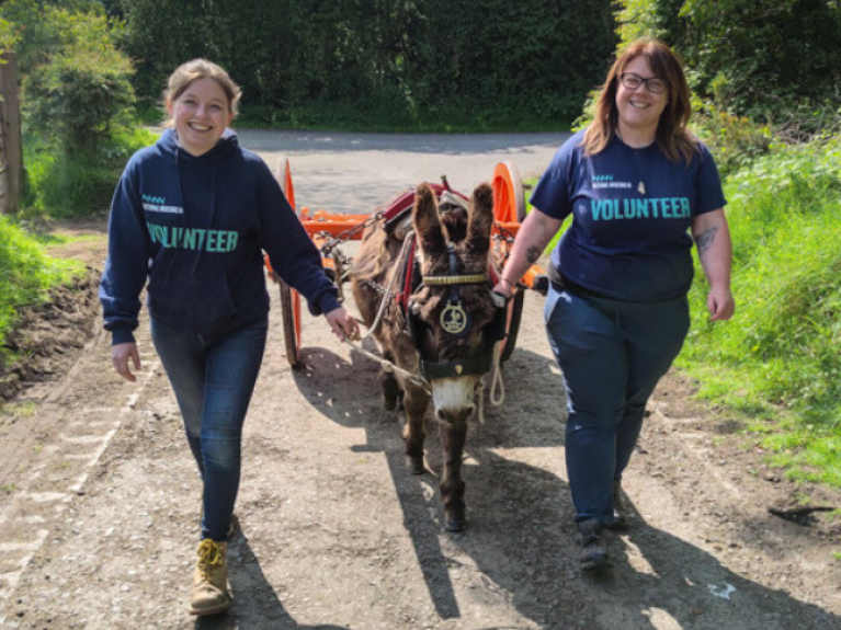 Two women walk towards the camera on a sunny country lane. Between them, a donkey pulls a bright orange cart.