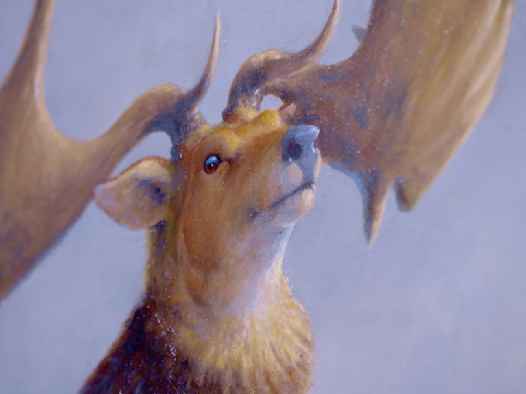 Giant deer from Wild Ireland