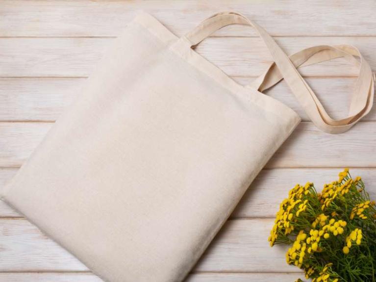Power Plants: Eco Tote Bag Drop-In Workshop