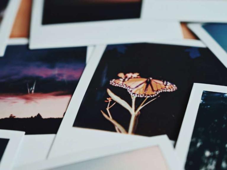 Join Polly Garnett for a Polaroid Nature photography workshop on Saturday 23rd August at the walled garden of the Ulster Transport Museum