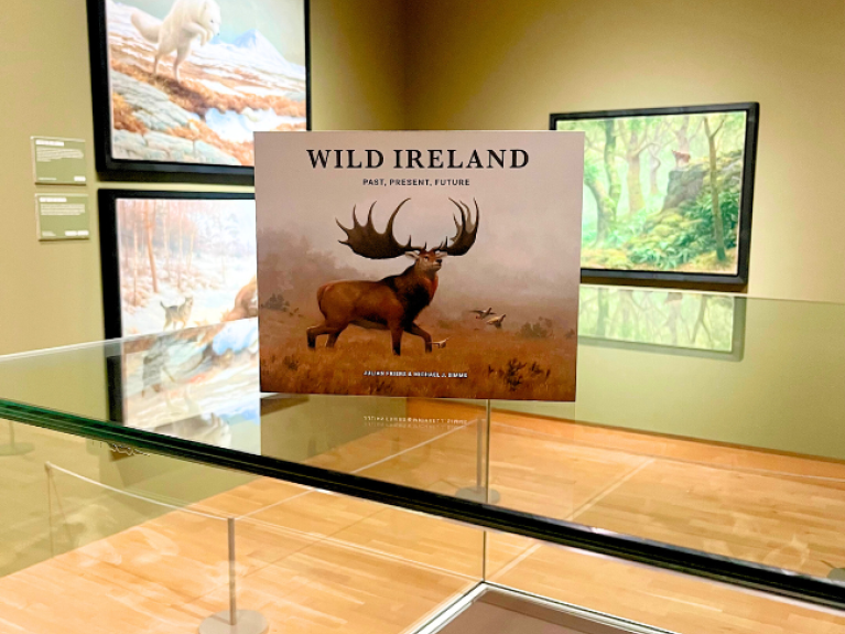 Wild Ireland Exhibition Guidebook now available
