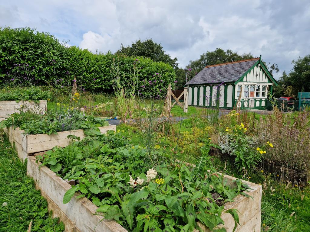 Year 2 nature plots