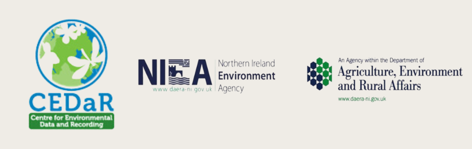 Website Footer 950x300 px.png